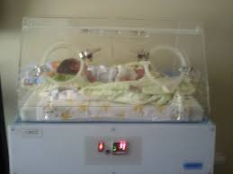 Inkubator bayi lokal