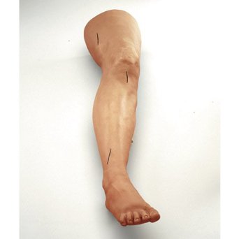 Life/form® Suture Practice Leg Nasco LF01034U