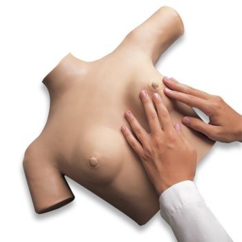 Breast Palpation Simulator for Clinical Teaching Gaumard S230.4