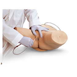 Life/form® Female Catheterization Simulator Nasco LF00856U