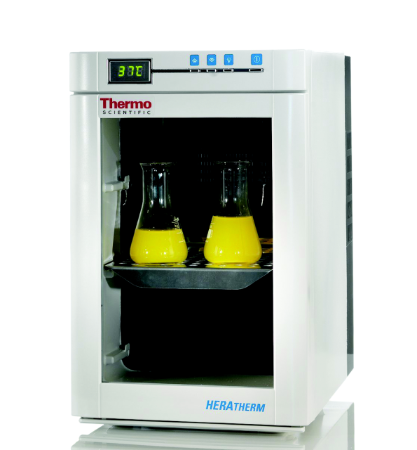 Inkubator	Thermo Scientific* Heratherm* Compact Incubator, .65 cubic feet (18L), mechanical convection