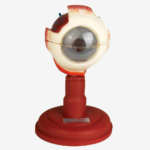GD/A17102 Eyeball