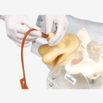 GD/H16E Transparent Catheterization Simulator(Male)