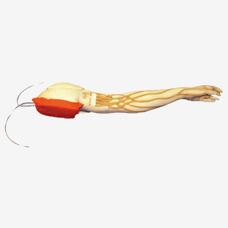 GD/HS39 Full-functional Vein Injection Arm