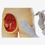 GD/HS10C Contrastive Intramuscular Injection Buttocks
