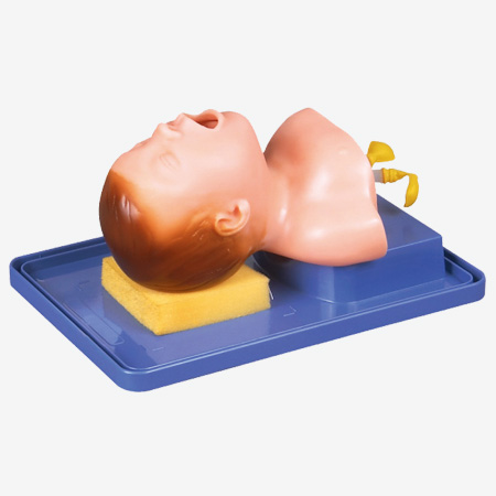 GD/J15 Neonate Intubation Training Model