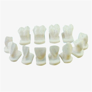 GD/B10039 Tooth Morphology Model